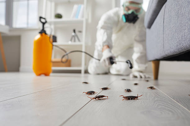 Post-Treatment Bed Bug Interceptor Monitoring in Sand Point