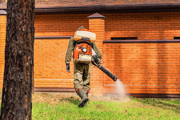 Bed Bug Clearance Verification and Documentation in Sand Point